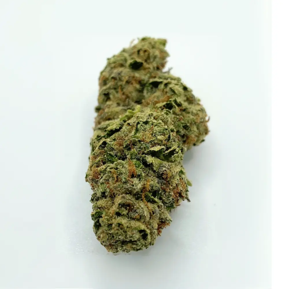 Cali LCG THCA Flower: Exceptional Quality and Aromas