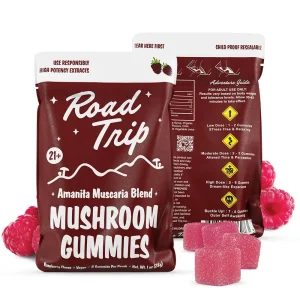 Road Trip Mushroom Gummies Raspberry