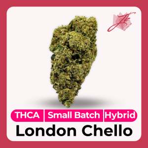 London Chello THCA Flower