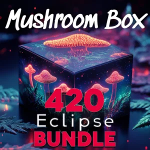 JK Party Box – Mushroom