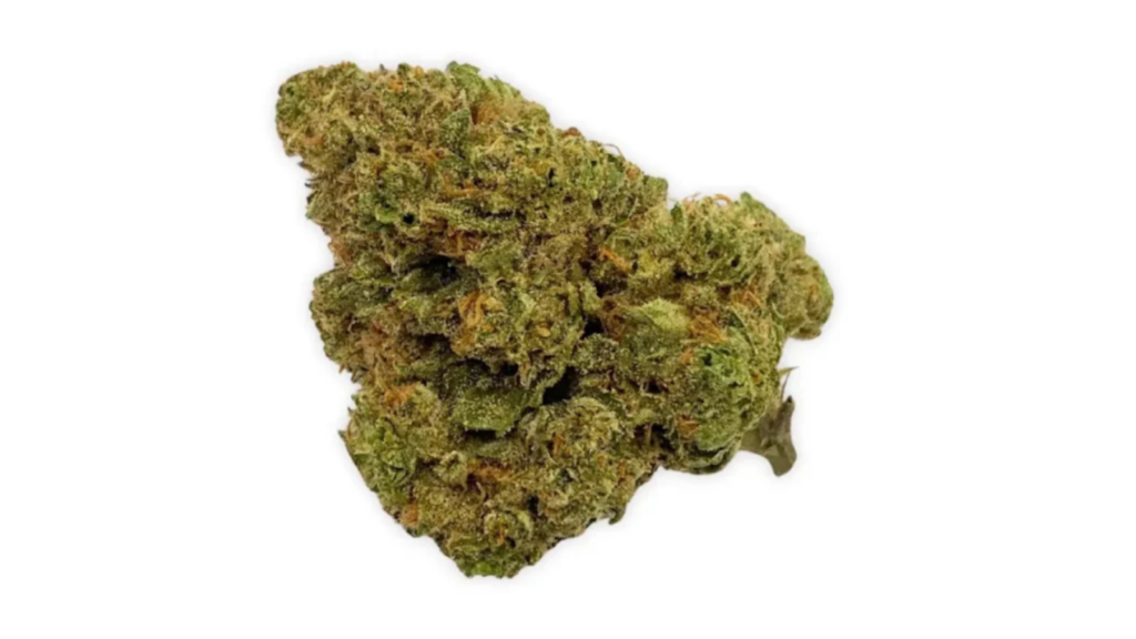 THCA Flower Chemlato by JK Distro