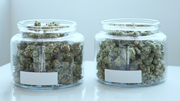 Two jars of unlabelled THCA flower