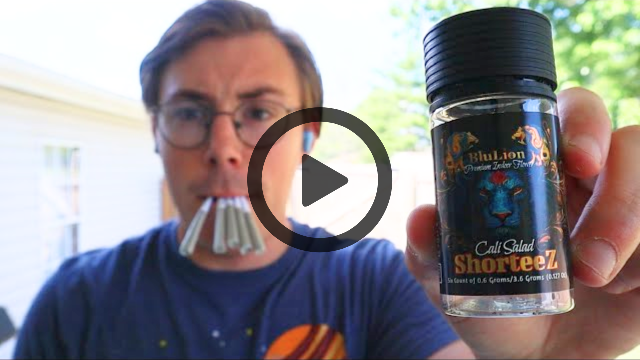 shorteez thumbnail